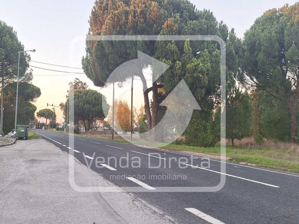 Helårsgrund i Montijo, Setubal - foto 3