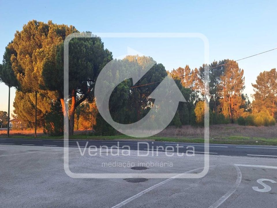 Helårsgrund i Montijo, Setubal - foto 4