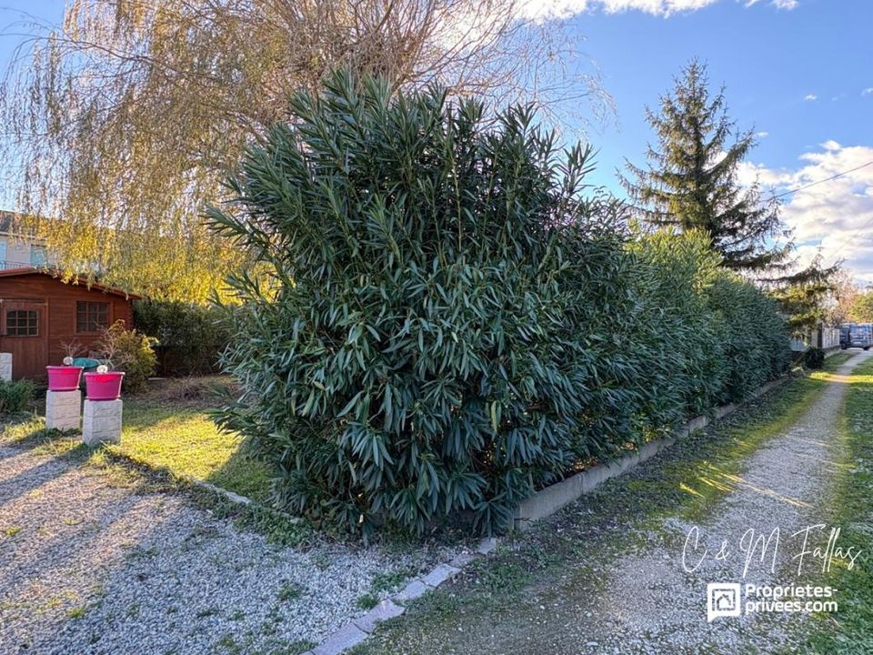 Helårsgrund i Entraigues-sur-la-Sorgue, Vaucluse - foto 5