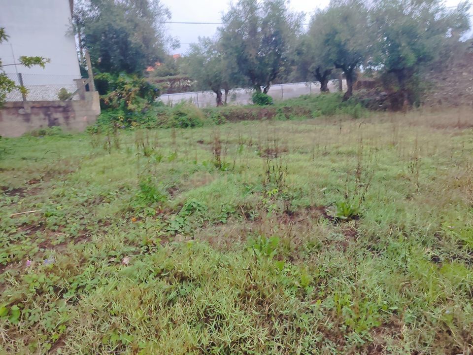 Villa i Tomar, Santarem - foto 3