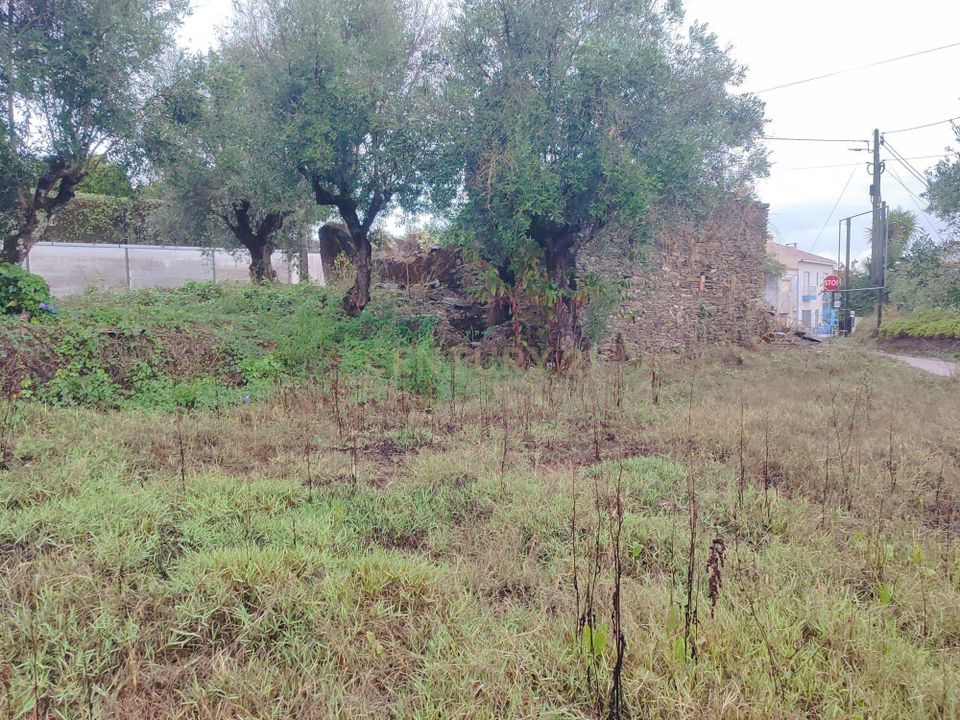 Villa i Tomar, Santarem - foto 4