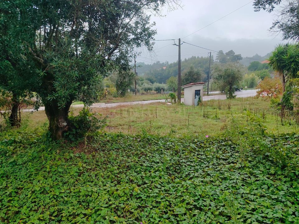Villa i Tomar, Santarem - foto 5
