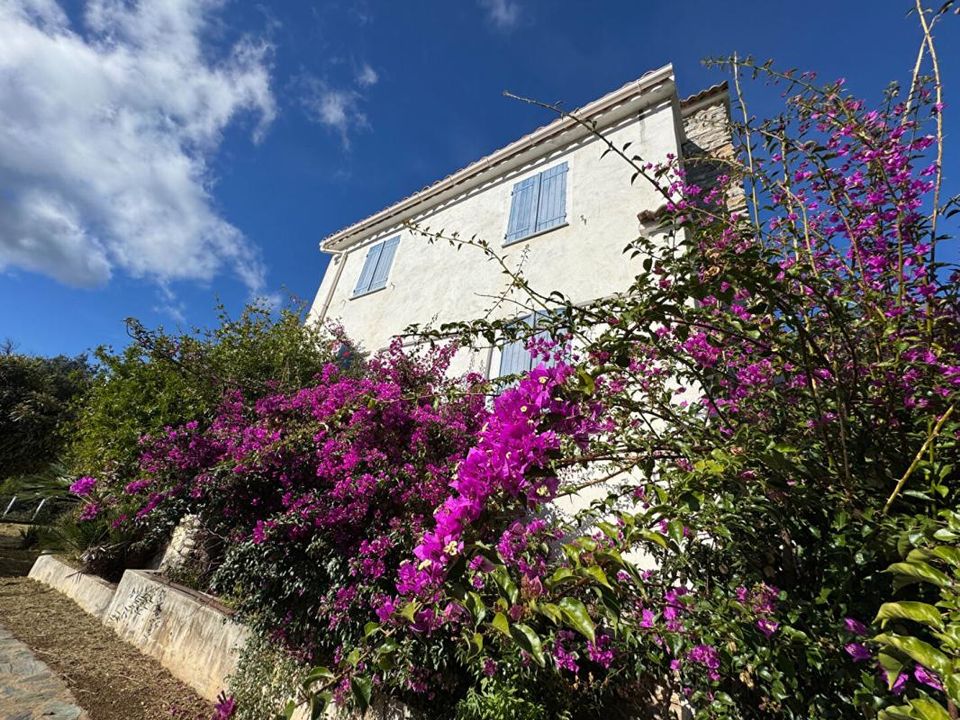 Villa i Sant'Andrea-Di-Cotone, Haute-Corse - bilde 1