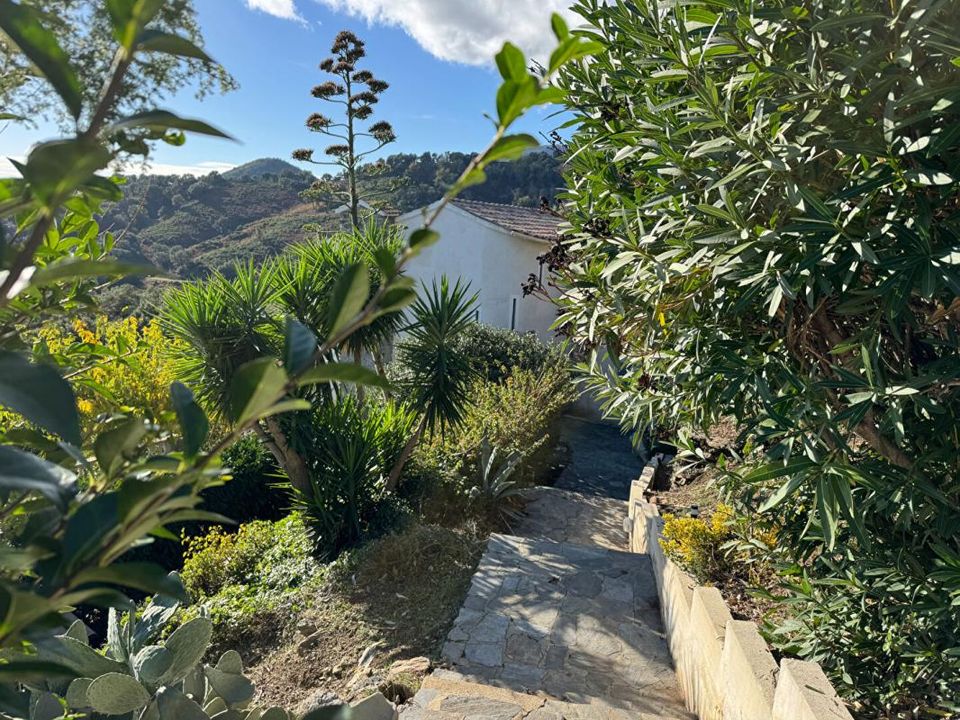 Villa i Sant'Andrea-Di-Cotone, Haute-Corse - bilde 2