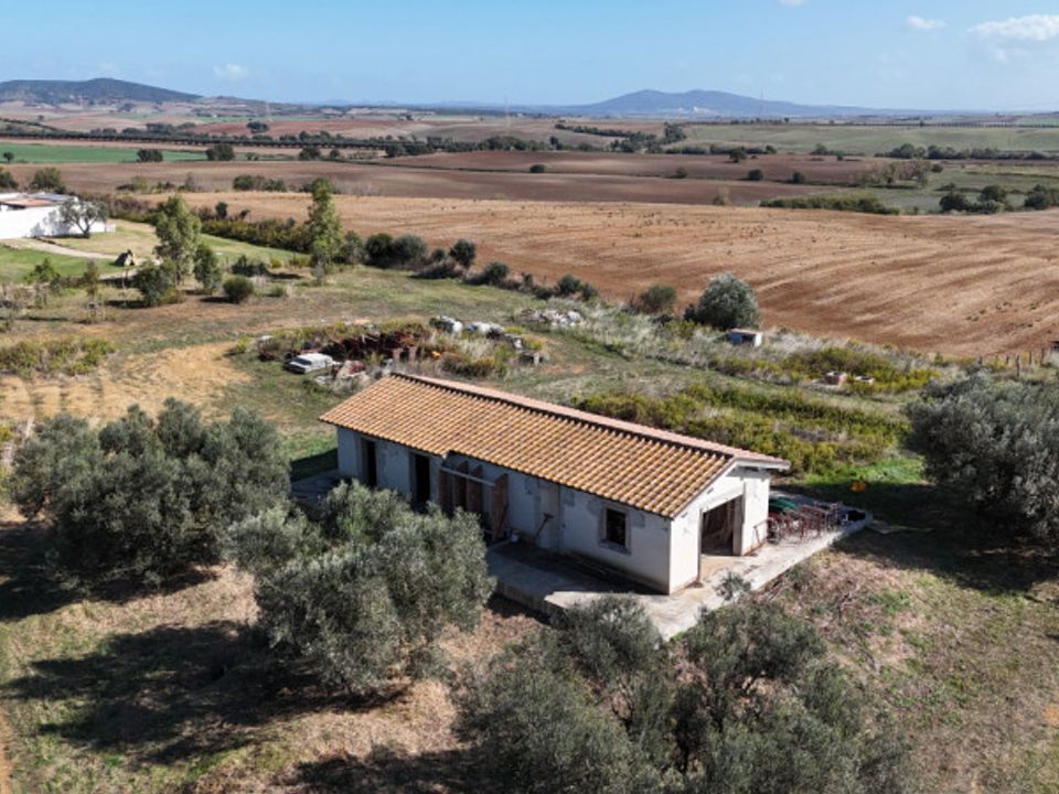 Landejendom i Capalbio, Grosseto - foto 1