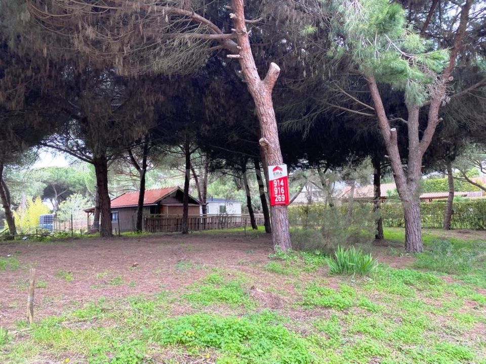 Helårsgrund i Almada, Setubal - foto 4