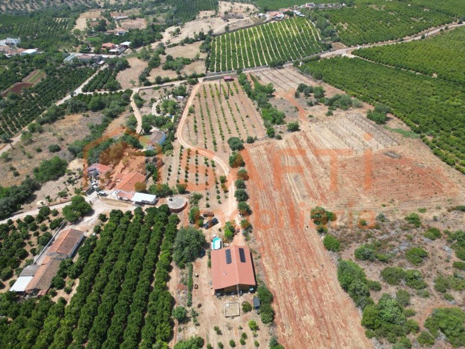 Helårsgrund i Algoz, Faro - foto 2