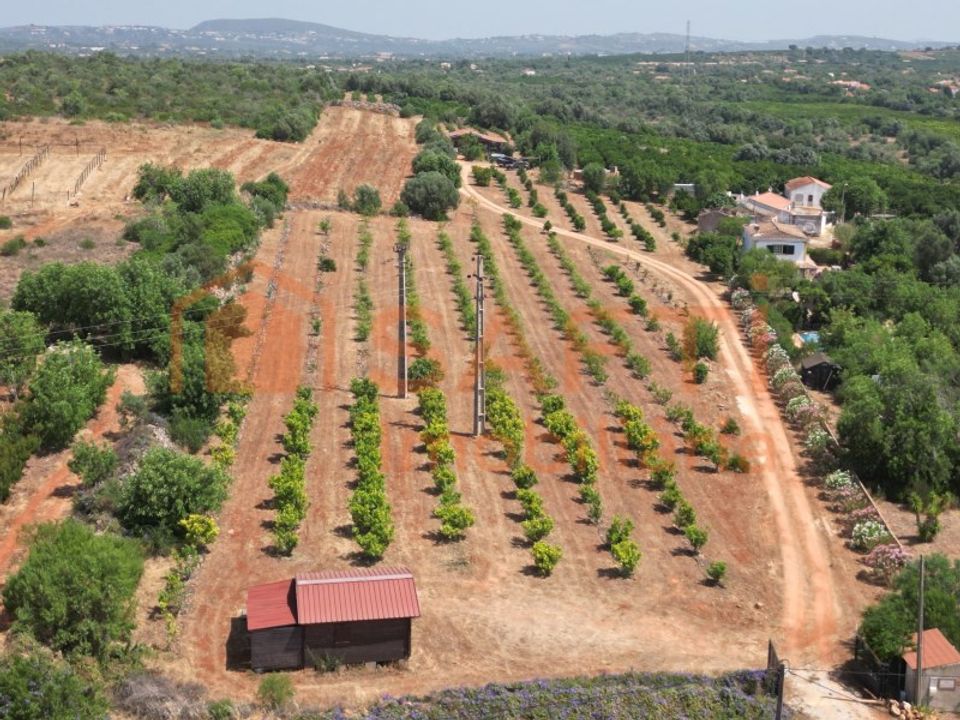 Helårsgrund i Algoz, Faro - foto 3