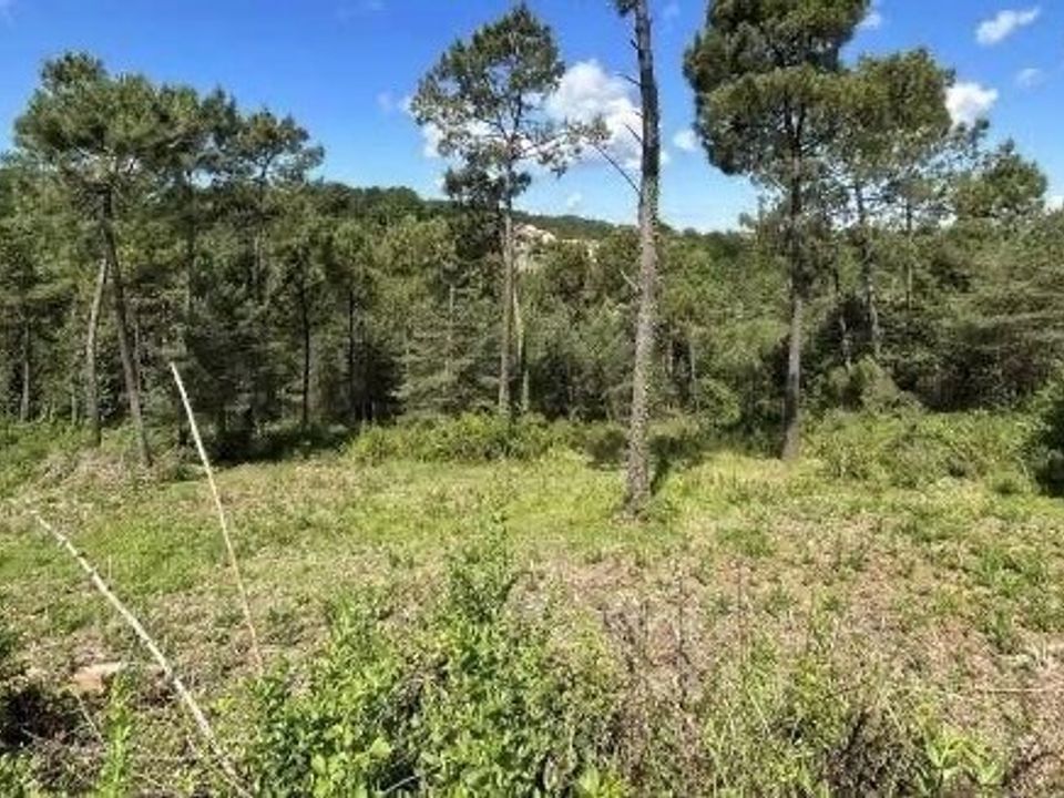 Helårsgrund i Coursac, Dordogne - foto 1