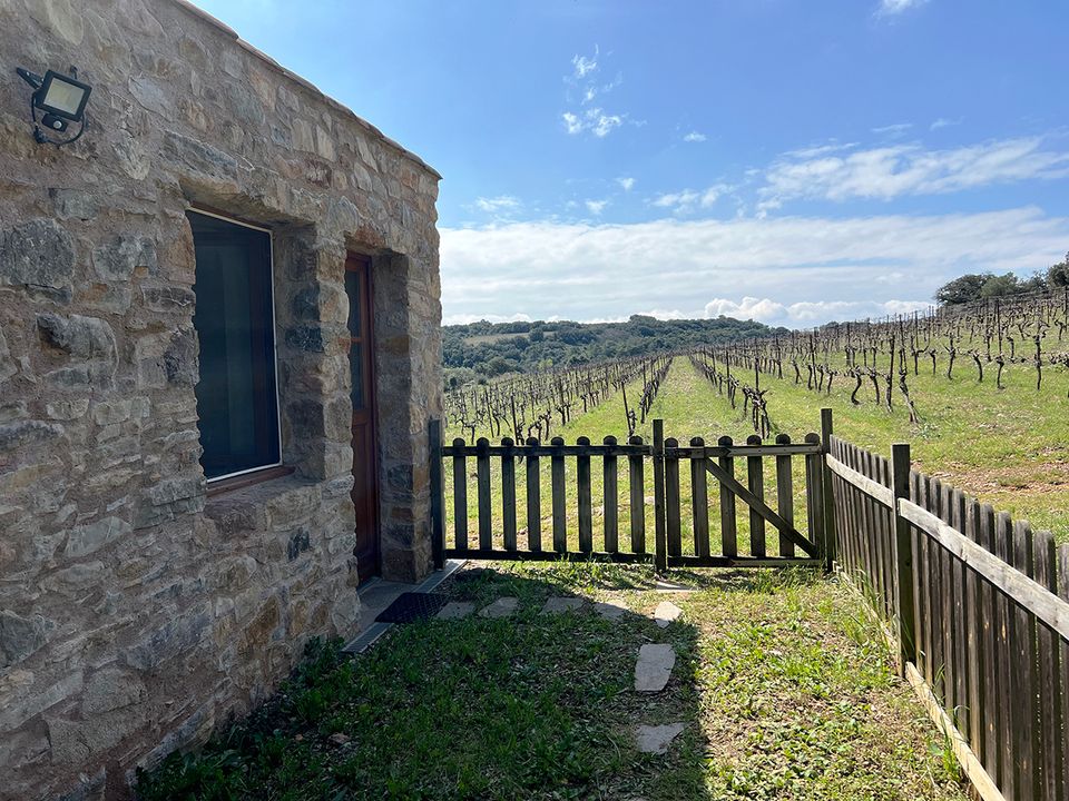Villa i Saint-Chinian, Herault - foto 2