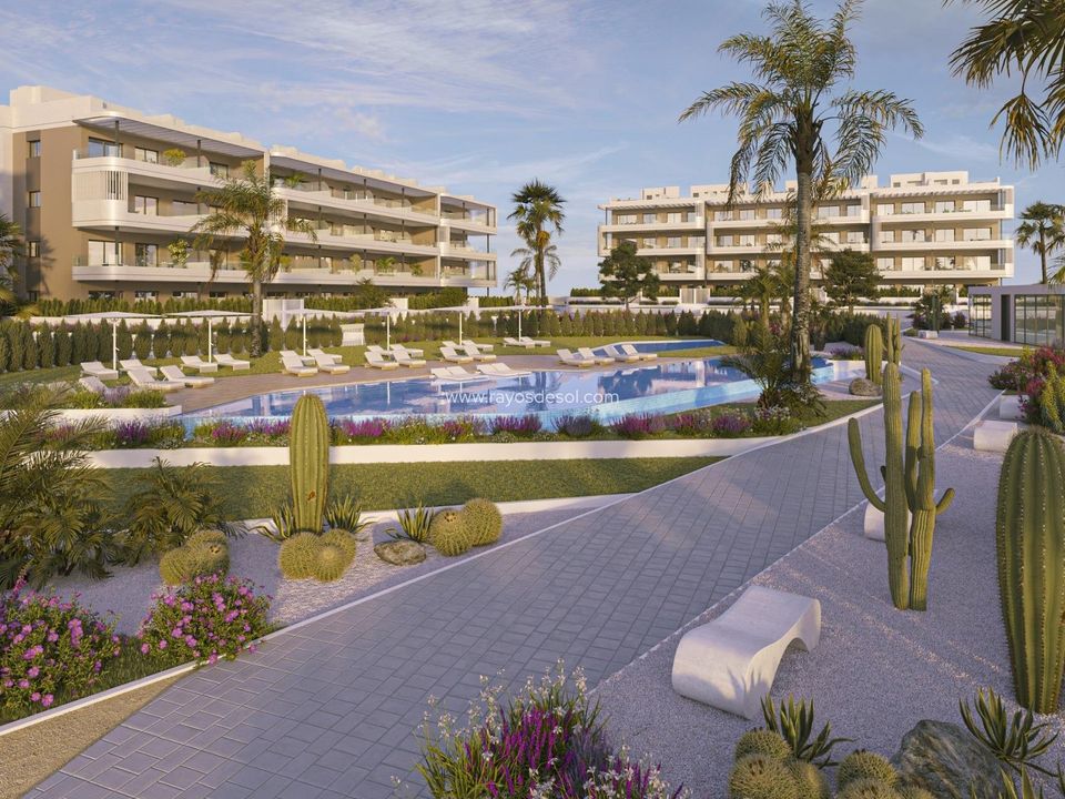 Lejlighed i Torrevieja, Alicante - foto 2