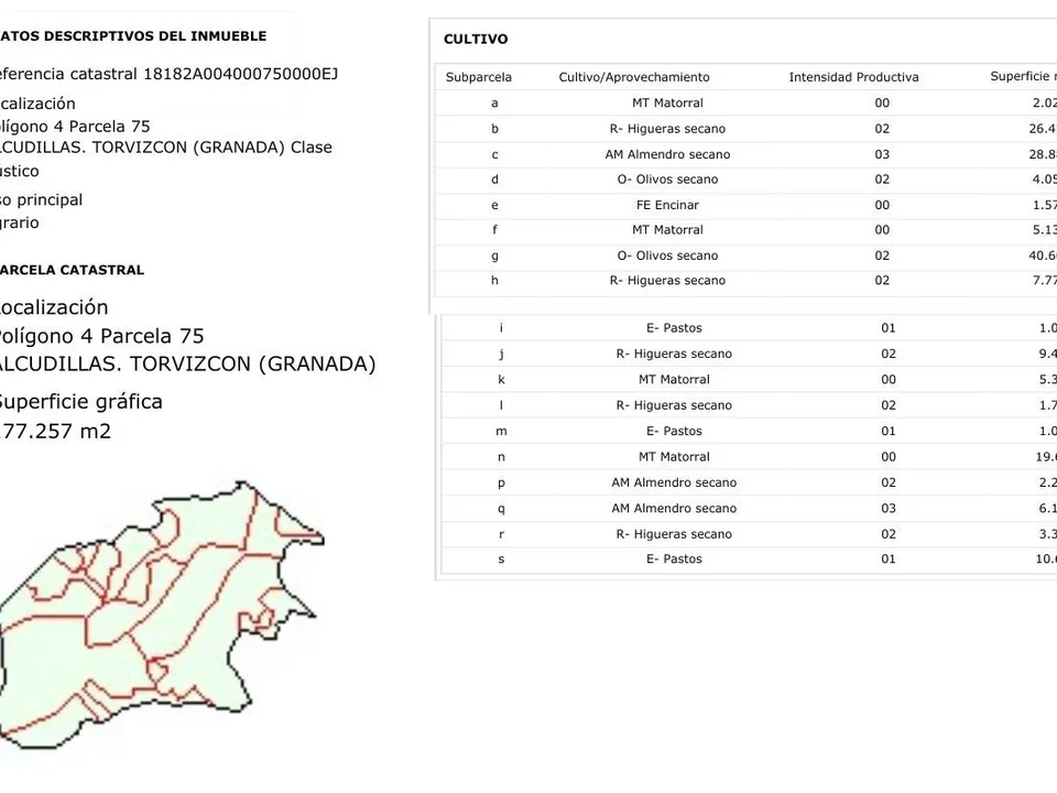 Helårsgrund i Torvizcon, Granada - foto 3