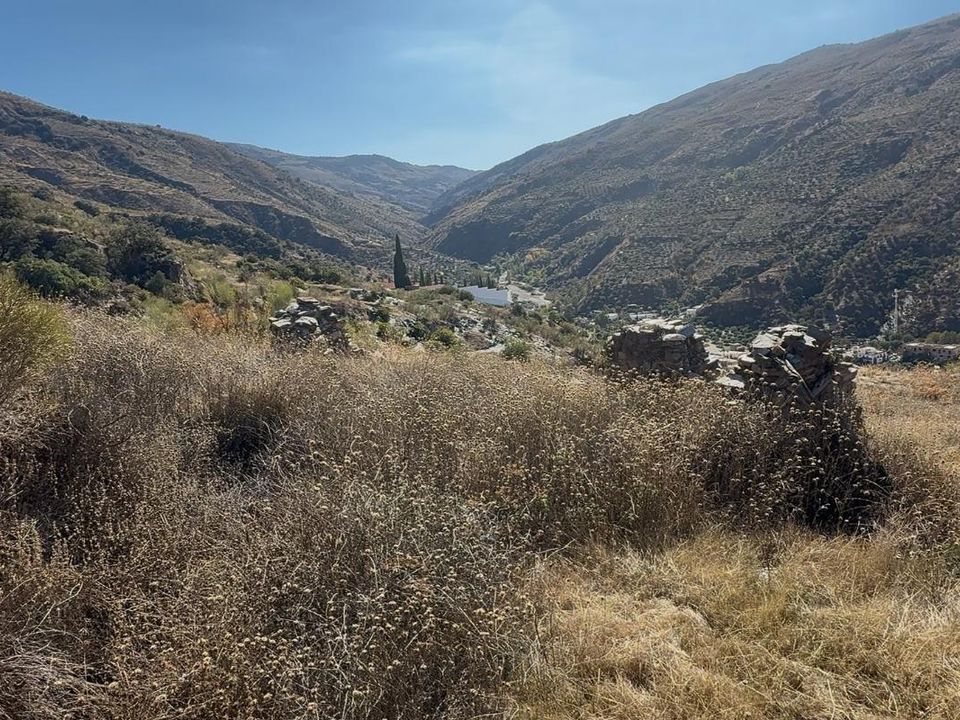 Helårsgrund i Torvizcon, Granada - foto 5