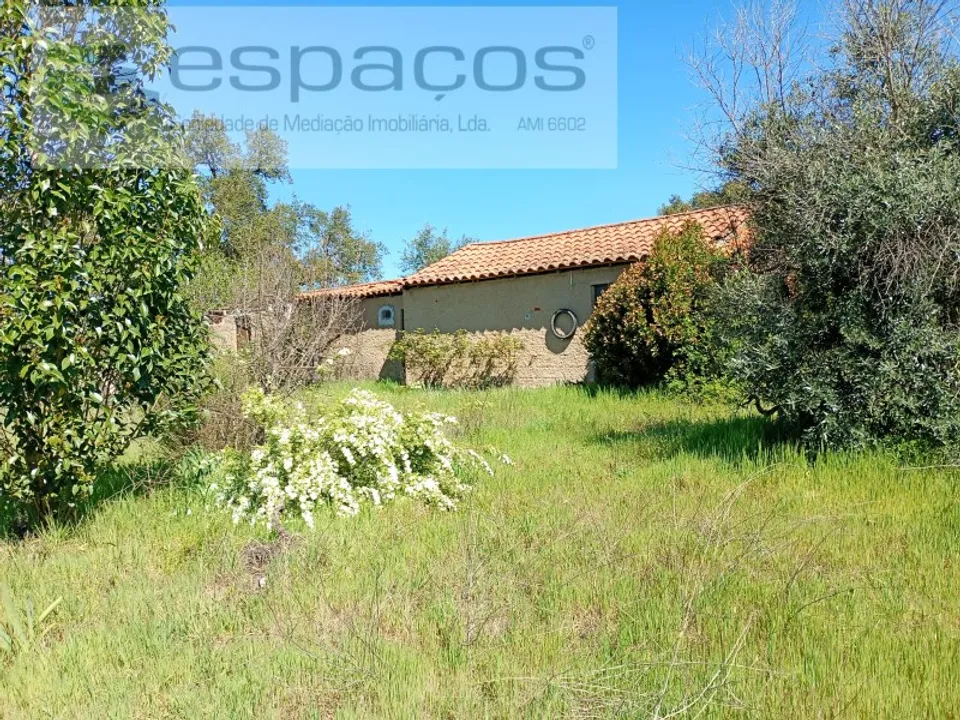 Farm i Castelo Branco, Castelo Branco - foto 2