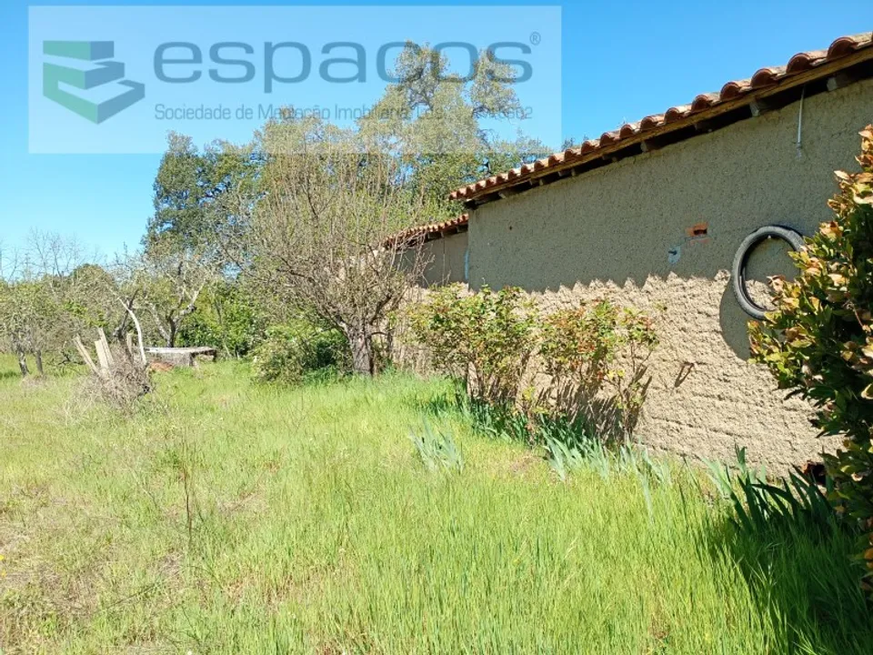 Farm i Castelo Branco, Castelo Branco - foto 4