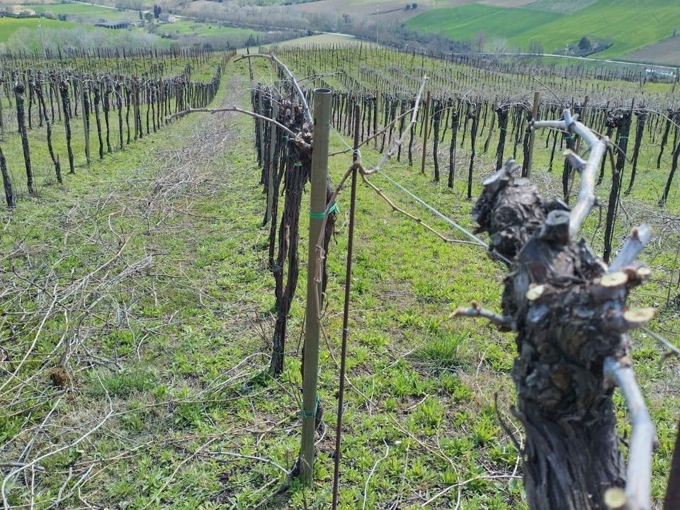 Erhvervsejendom i Montefiore dell'Aso, Ascoli Piceno - foto 2