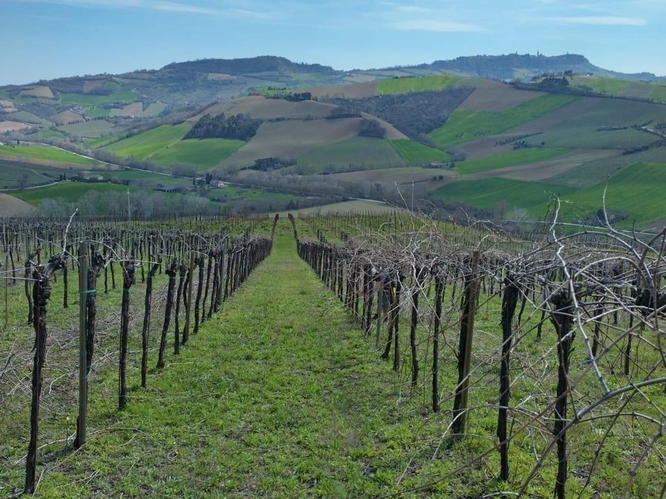 Erhvervsejendom i Montefiore dell'Aso, Ascoli Piceno - foto 3