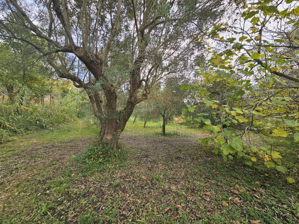 Helårsgrund i Pastorano, Caserta - foto 4