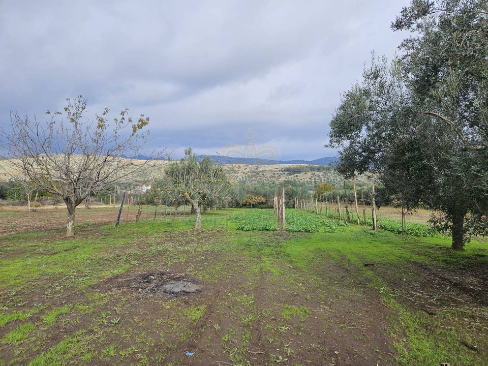 Helårsgrund i Pastorano, Caserta - foto 2