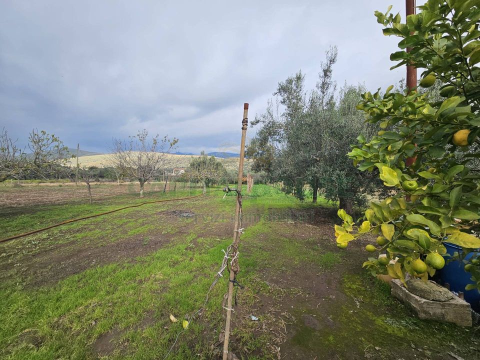 Helårsgrund i Pastorano, Caserta - foto 3