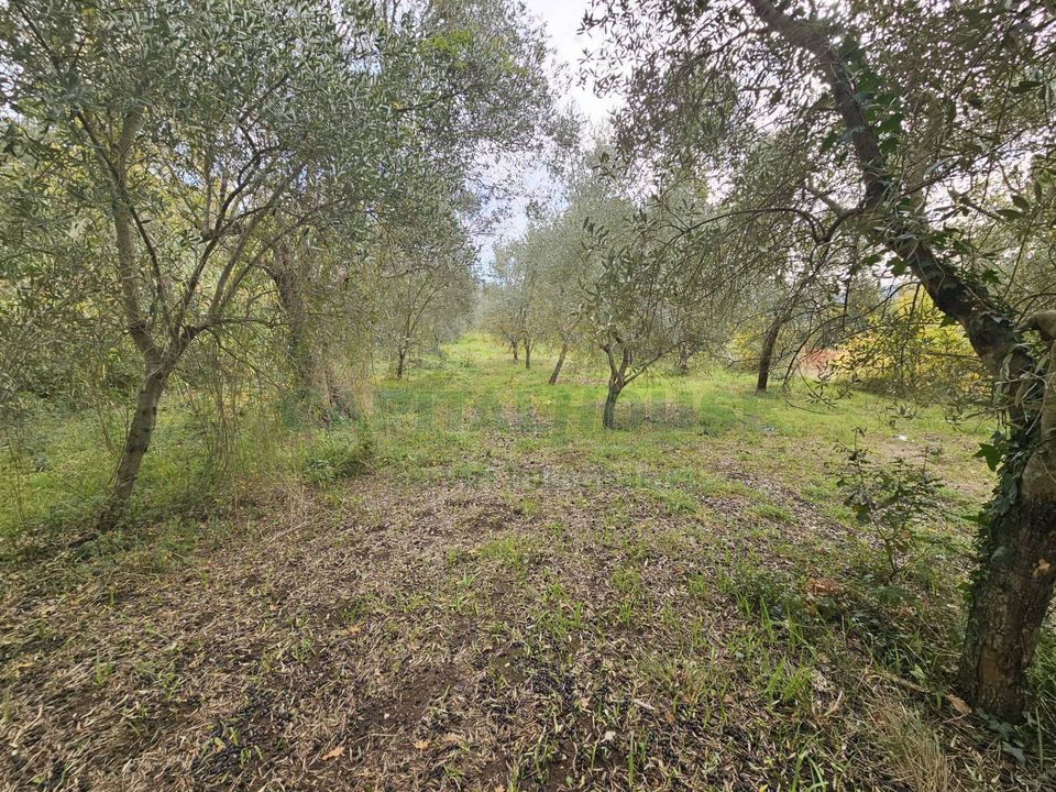 Tomt i Camigliano, Caserta - bilde 1