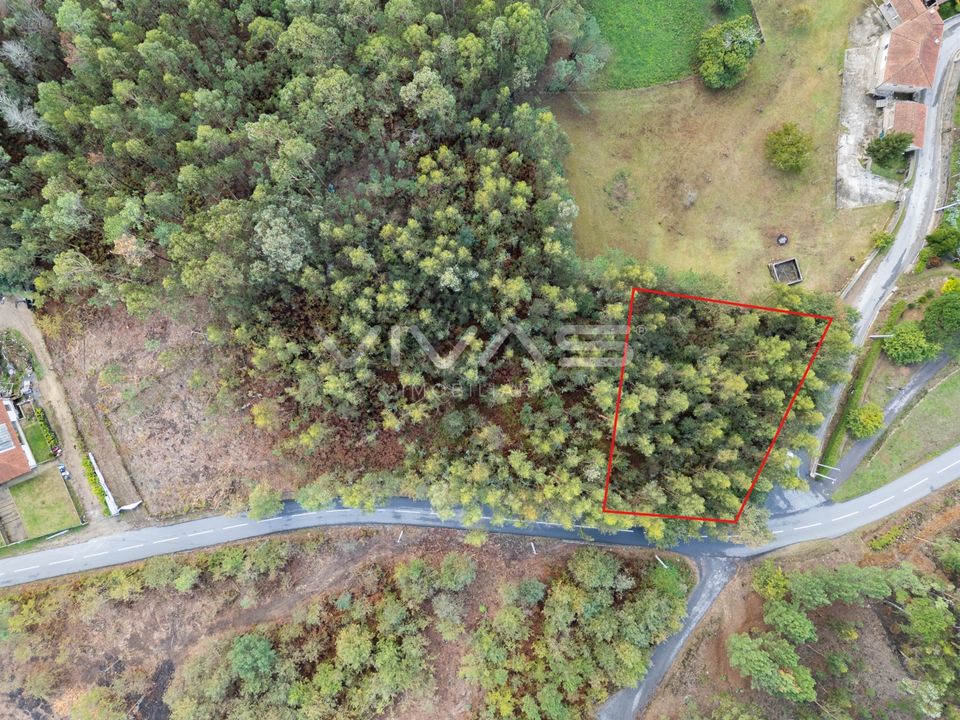 Helårsgrund i Vila Verde, Braga - foto 2