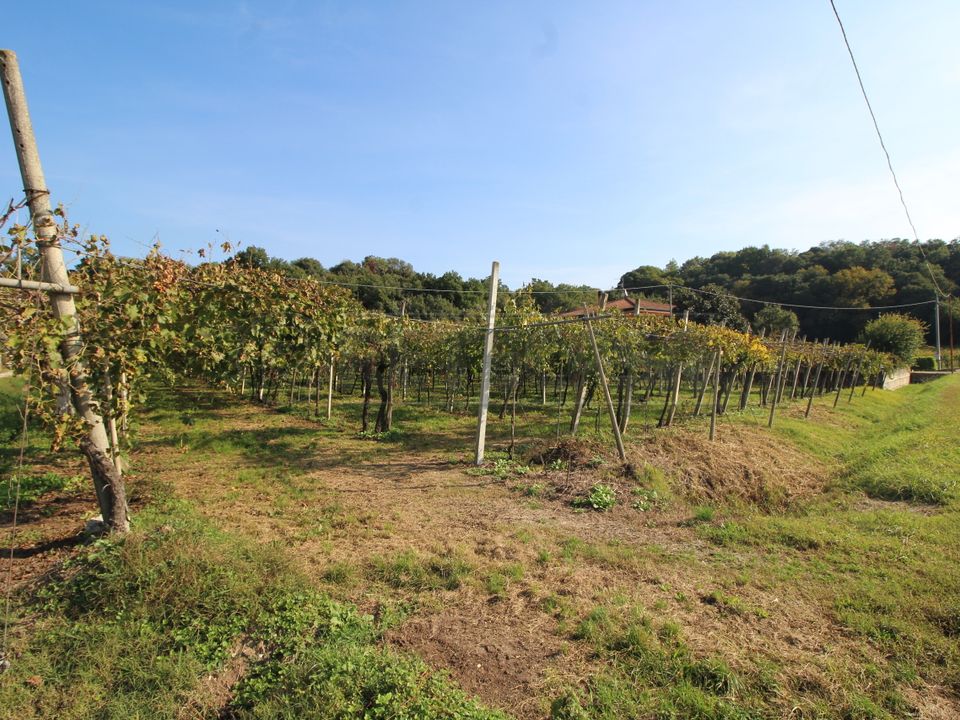 Helårsgrund i Gambellara, Vicenza - foto 3