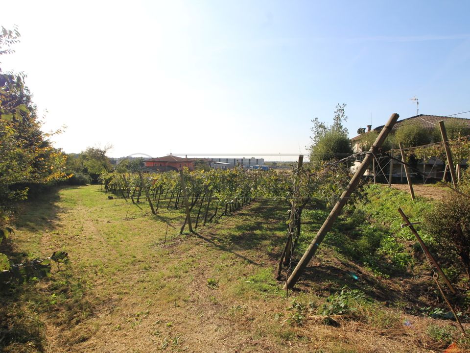 Helårsgrund i Gambellara, Vicenza - foto 5