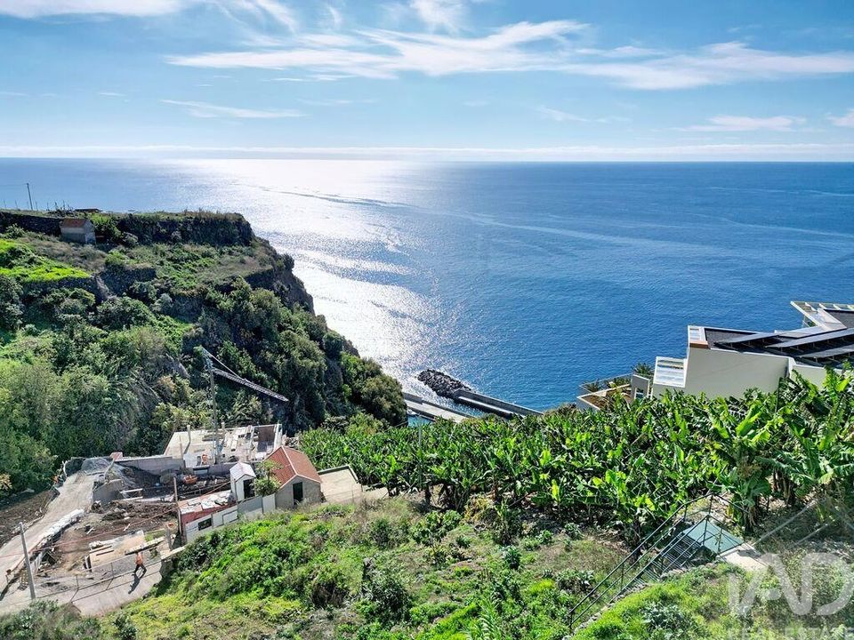 Helårsgrund i Calheta, Madeira - foto 4