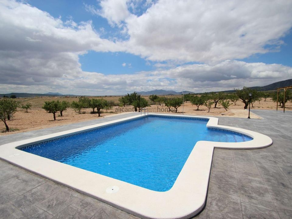 Villa i Pinoso, Alicante - foto 3