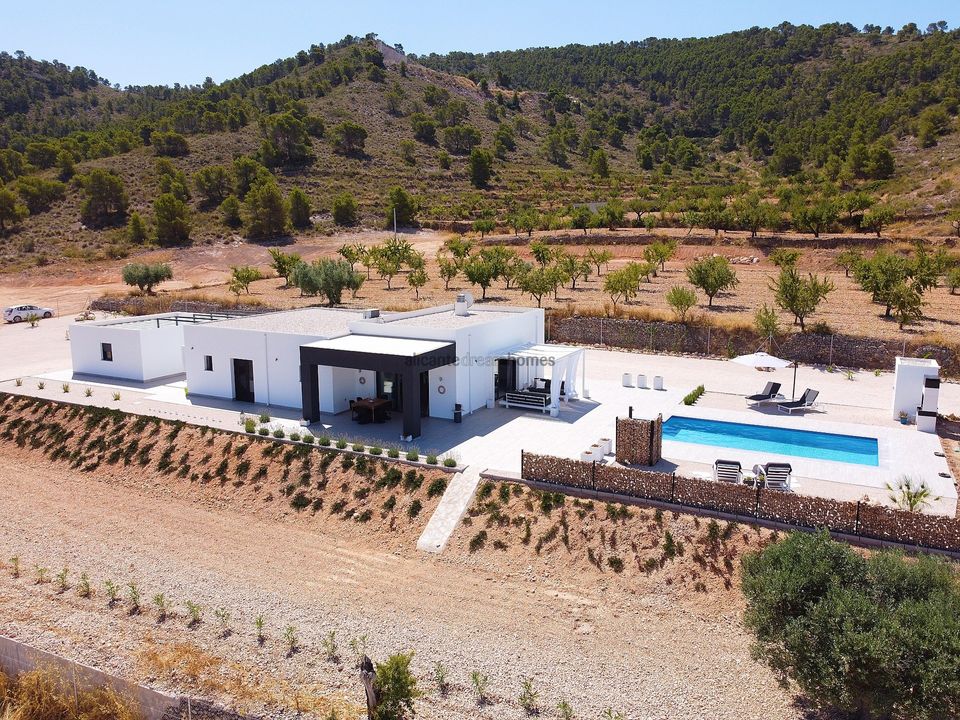 Villa i Pinoso, Alicante - foto 1