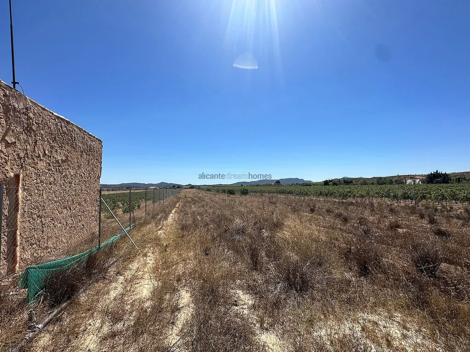 Helårsgrund i Pinoso, Alicante - foto 1