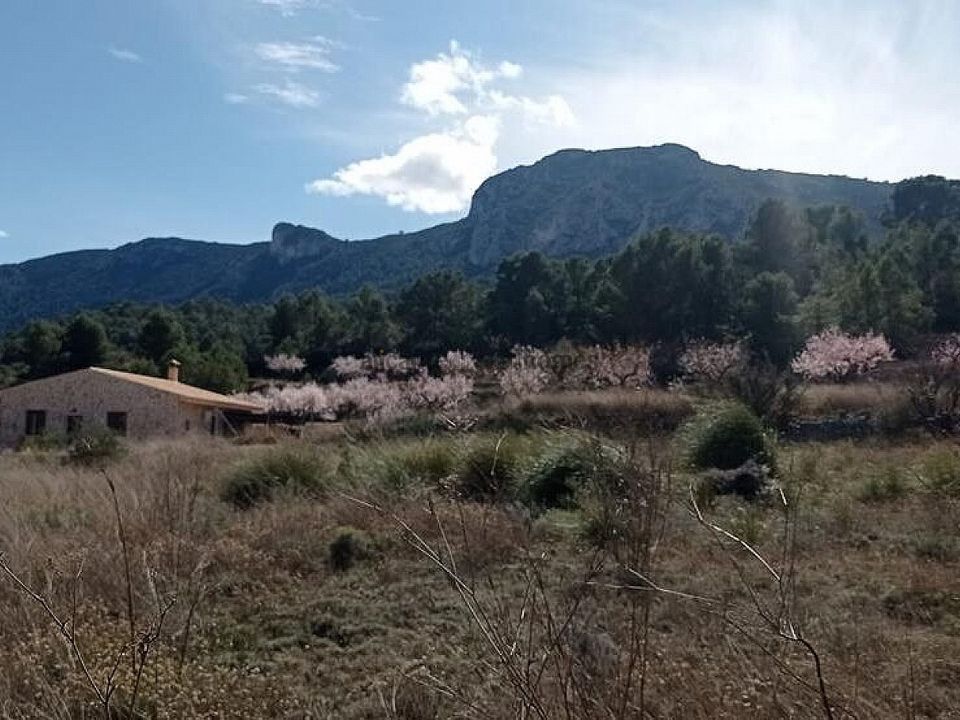 Helårsgrund i La Romana, Alicante - foto 1
