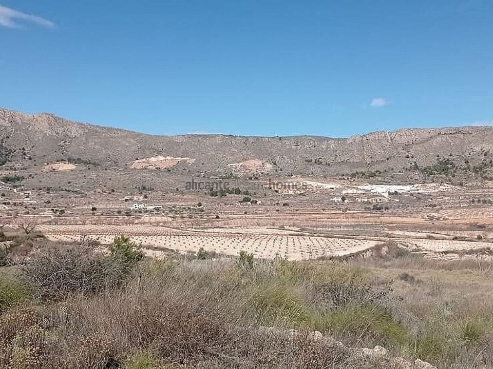 Helårsgrund i La Romana, Alicante - foto 2