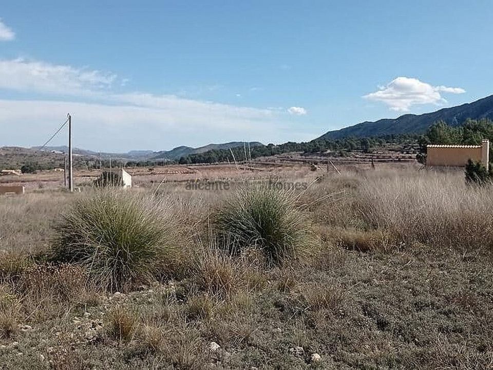 Helårsgrund i La Romana, Alicante - foto 3