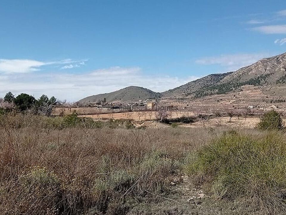 Helårsgrund i La Romana, Alicante - foto 5