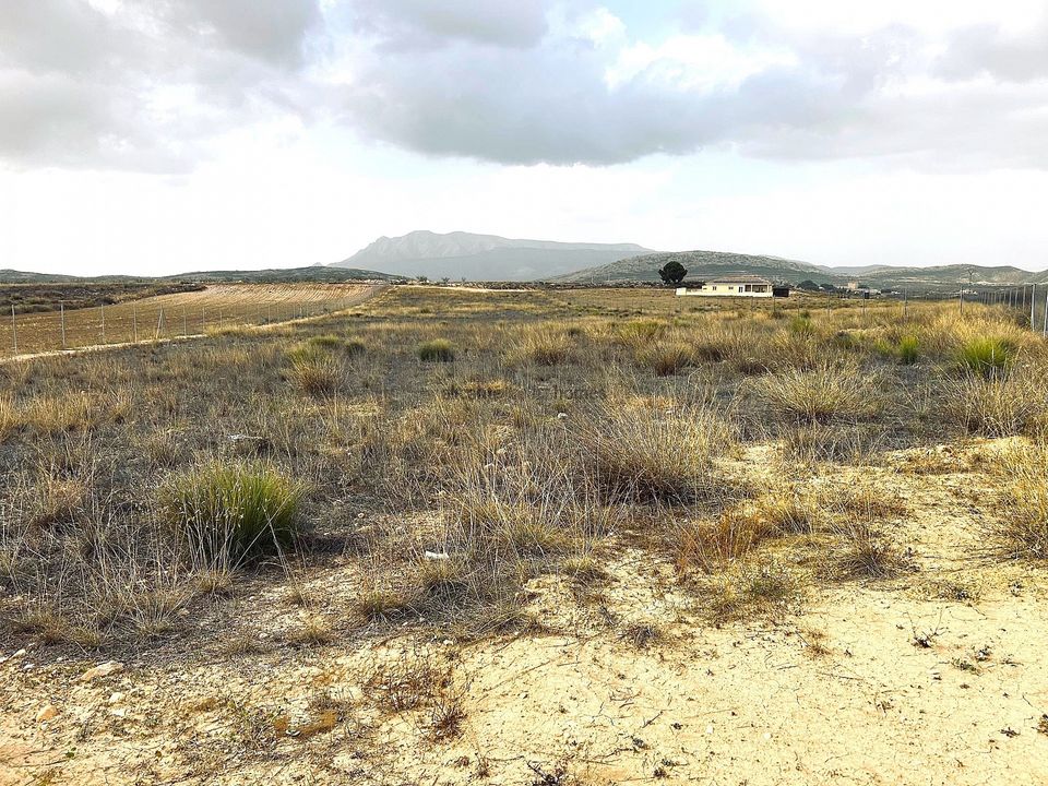 Helårsgrund i Torre Del Rico, Murcia - foto 1