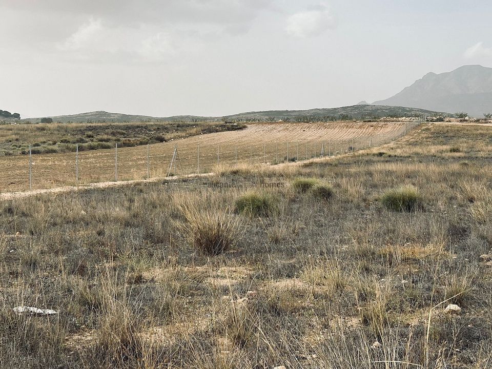 Helårsgrund i Torre Del Rico, Murcia - foto 3