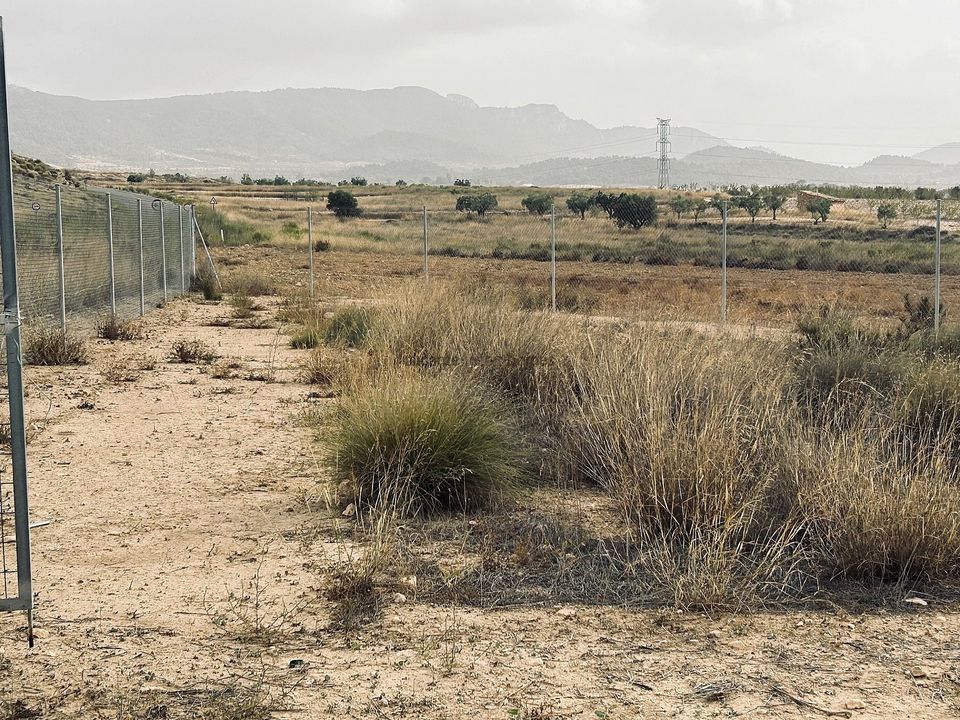 Helårsgrund i Torre Del Rico, Murcia - foto 4