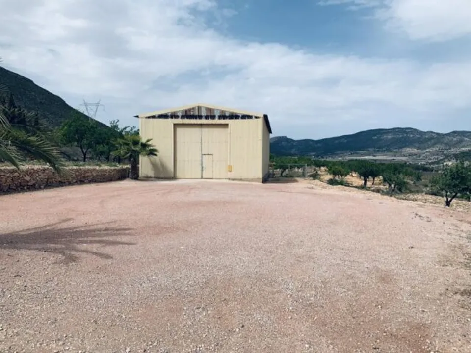 Terra a La Romana, Alicante - foto 2