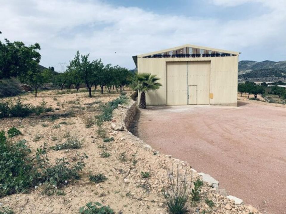 Terra a La Romana, Alicante - foto 4