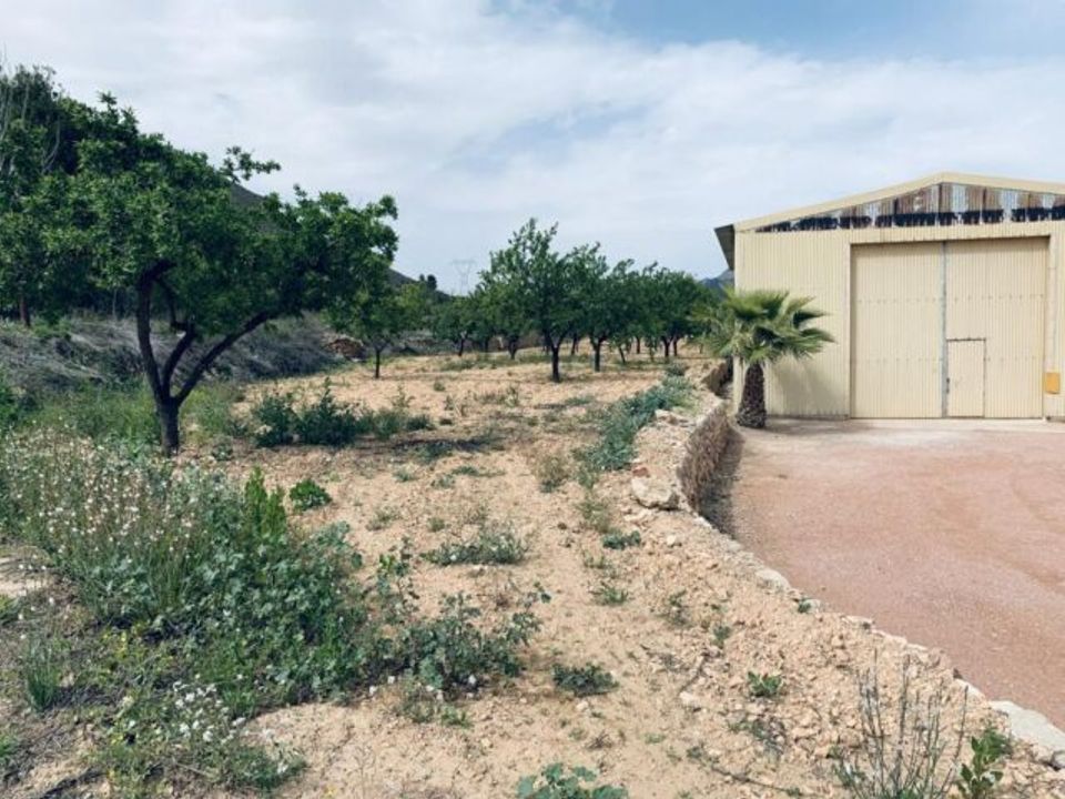 Terra a La Romana, Alicante - foto 5