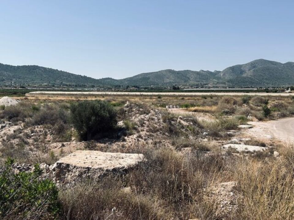 Helårsgrund i La Romana, Alicante - foto 1