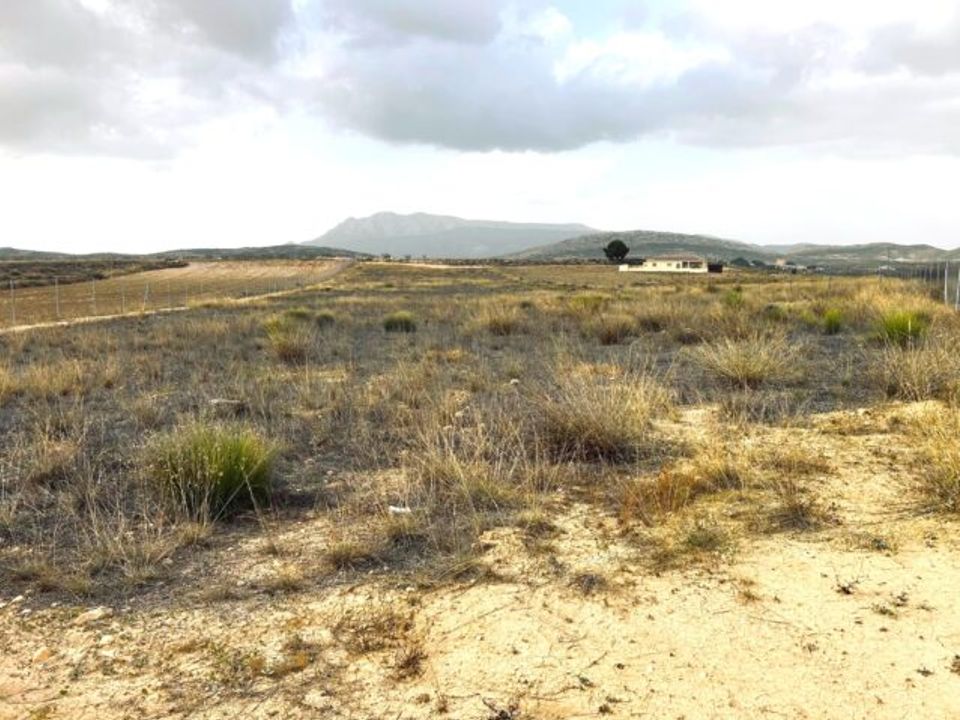 Helårsgrund i Torre Del Rico, Murcia - foto 1