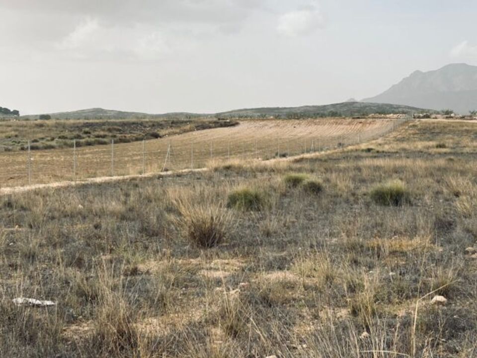 Helårsgrund i Torre Del Rico, Murcia - foto 4