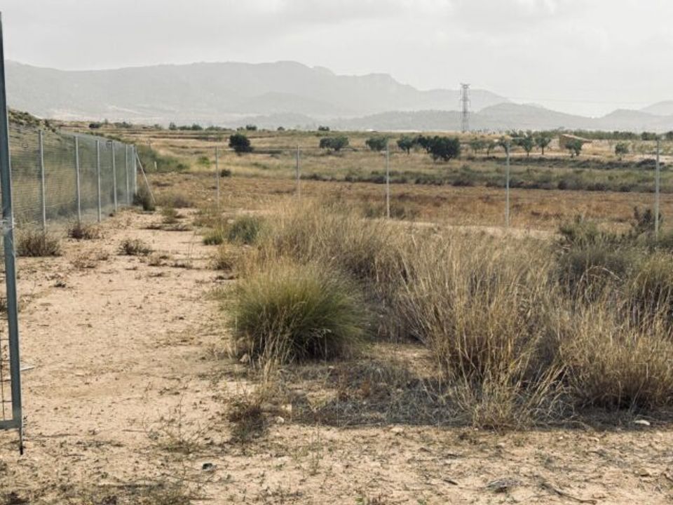 Helårsgrund i Torre Del Rico, Murcia - foto 5