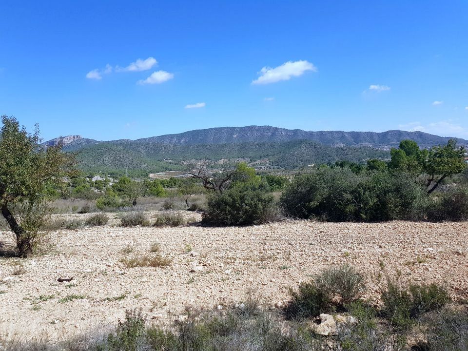Tomt i Monovar, Alicante - bilde 1
