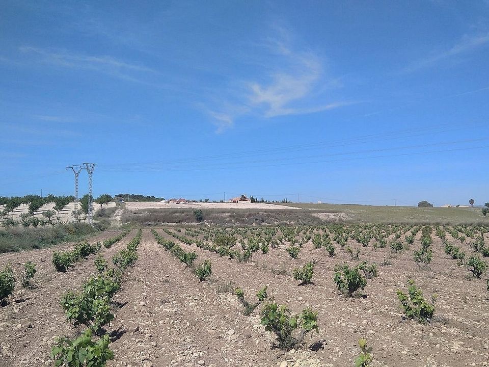Villa i Canada Del Trigo, Alicante - foto 2