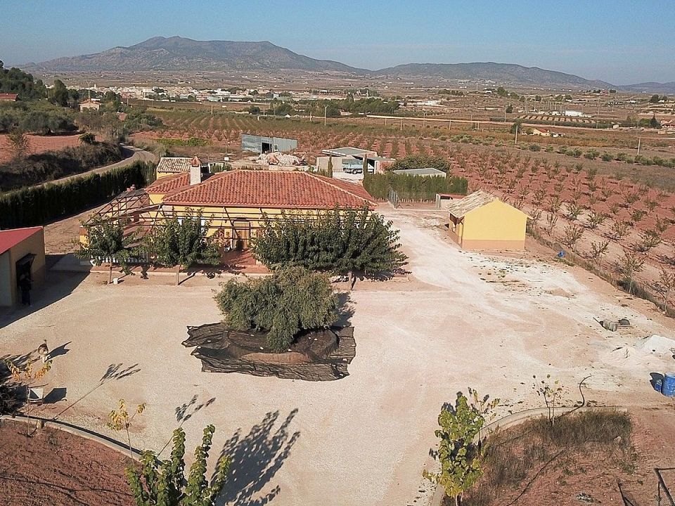 Villa i Pinoso, Alicante - foto 3