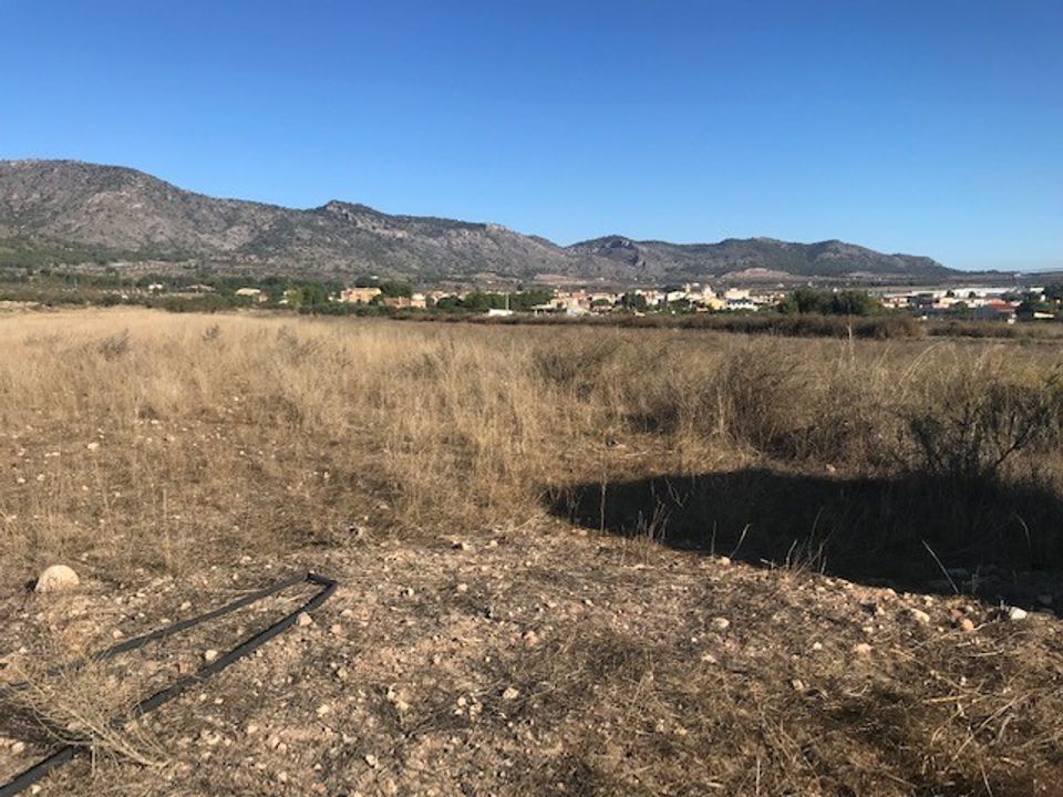 Helårsgrund i Salinas, Alicante - foto 2